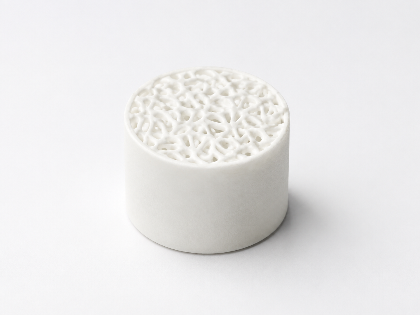 Porous alumina ceramic sample